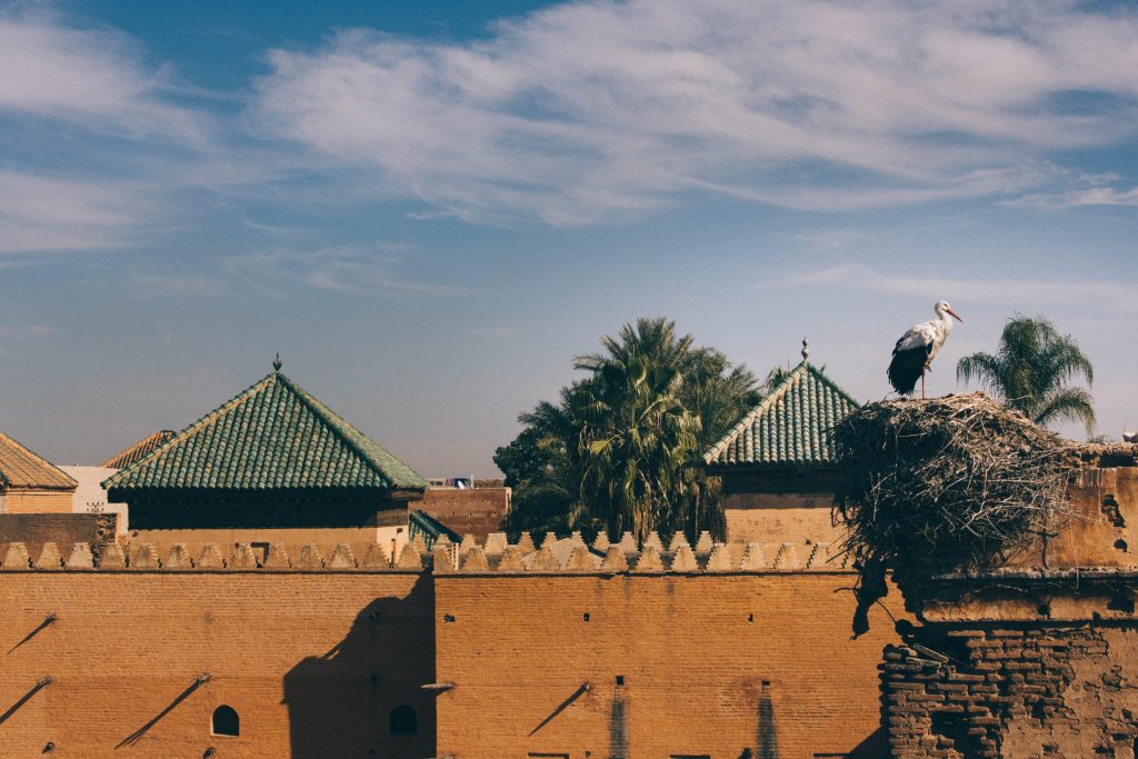elope in Marrakesh